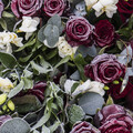 Billede af blomster i frost